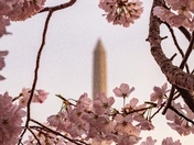 National Mall and Memorial Parks