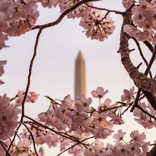 National Mall and Memorial Parks