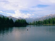 Kings Canyon National Park