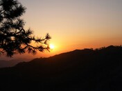 Kings Canyon National Park