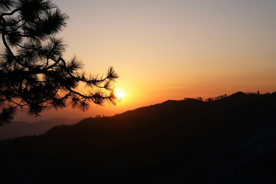 Kings Canyon National Park