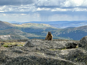 Rocky Mountain National Park