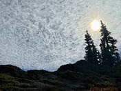 Olympic National Park