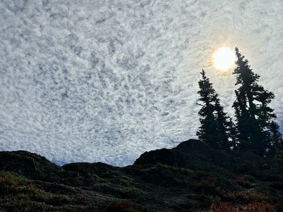 Olympic National Park