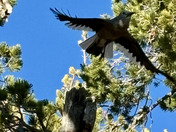 Crater Lake National Park