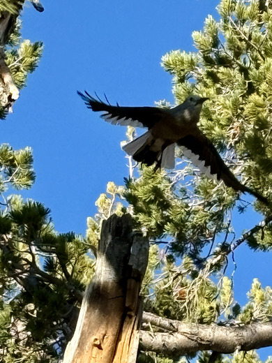 Crater Lake National Park