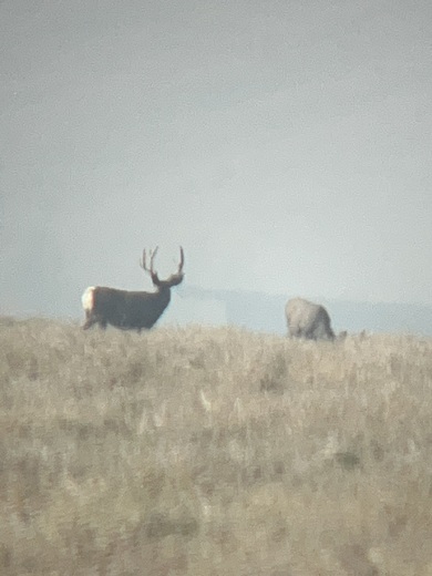 National Elk Refuge