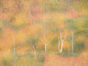 Acadia National Park