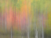 Acadia National Park