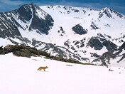 Rocky Mountain National Park