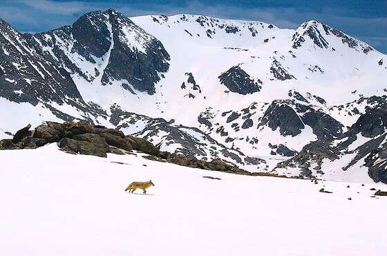 Rocky Mountain National Park