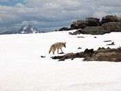 Rocky Mountain National Park