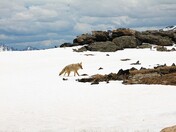 Rocky Mountain National Park