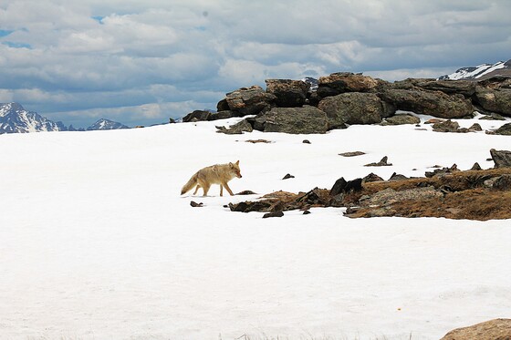 Rocky Mountain National Park