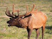 Rocky Mountain National Park