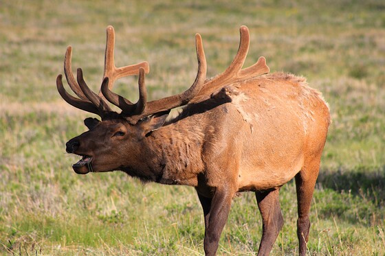 Rocky Mountain National Park