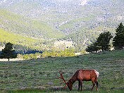 Rocky Mountain National Park