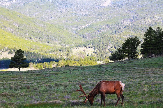 Rocky Mountain National Park