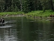 Caribou-Targhee National Forest