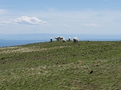 Caribou-Targhee National Forest