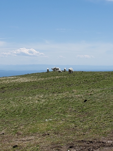 Caribou-Targhee National Forest