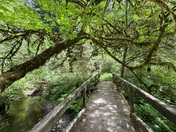 Redwood National Park