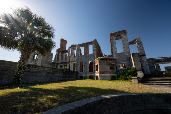 Cumberland Island National Seashore