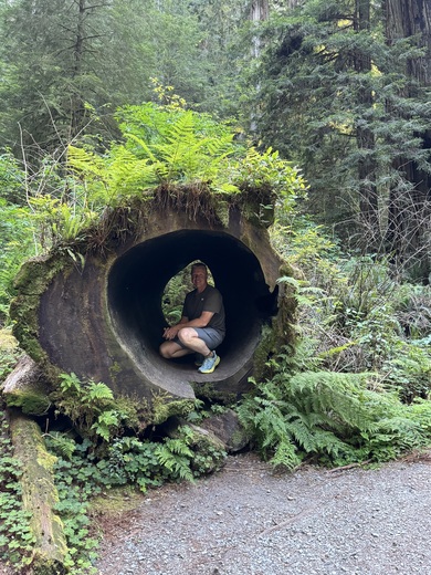 Redwood National Park