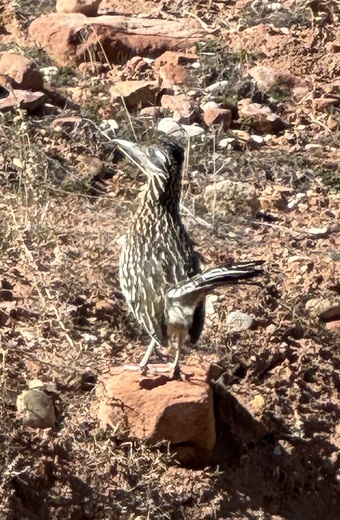 Zion National Park