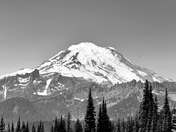 Mount Rainier National Park
