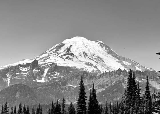 Mount Rainier National Park