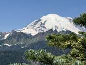 Mount Rainier National Park