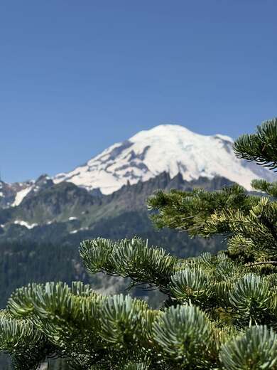 Mount Rainier National Park