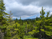 White Mountain National Forest