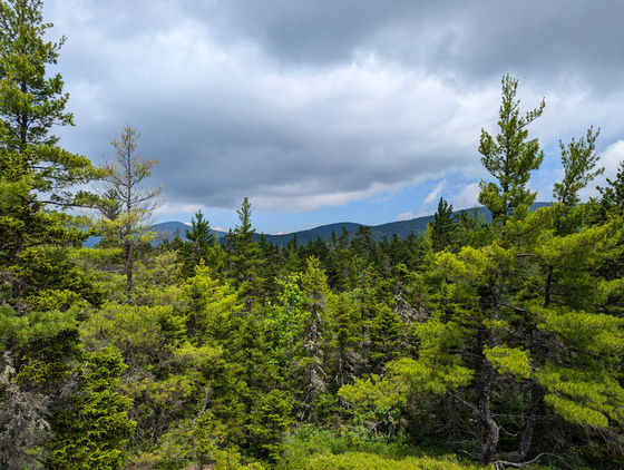 White Mountain National Forest