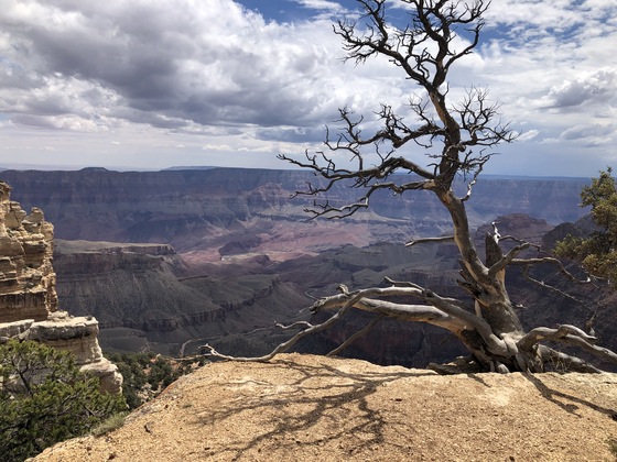 Grand Canyon National Park