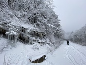 Pisgah National Forest