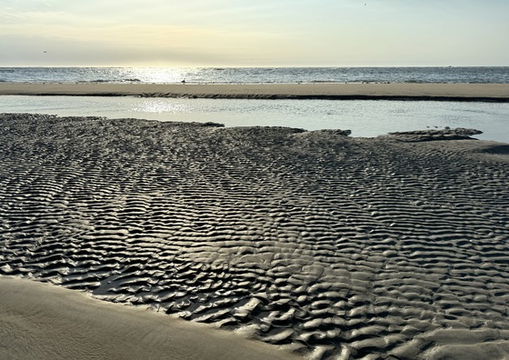Cape Hatteras National Seashore