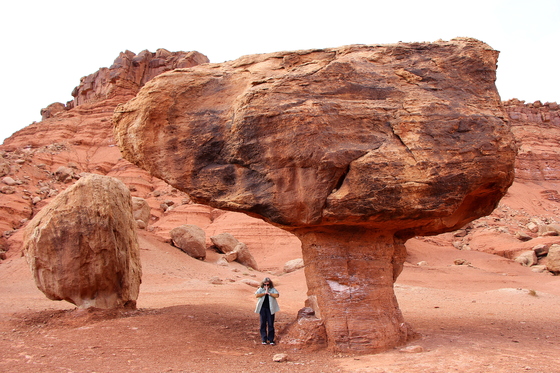 Glen Canyon National Recreation Area