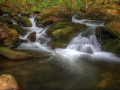 Great Smoky Mountains National Park