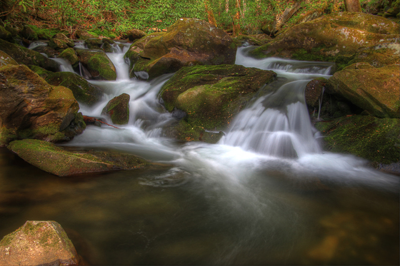 Great Smoky Mountains National Park