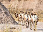 Badlands National Park