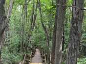Indiana Dunes National Park