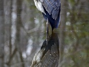 Wolf Trap National Park for the Performing Arts