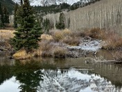 White River National Forest - Maroon Bells Scenic Area