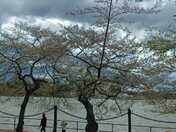 Potomac Shore, downtown Washington DC