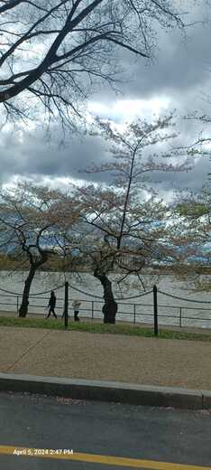 Potomac Shore, downtown Washington DC