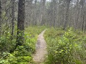 Nicolet National Forest Boulder Lake Campground