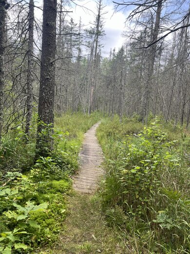 Nicolet National Forest Boulder Lake Campground