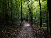 Great Smoky Mountains National Park